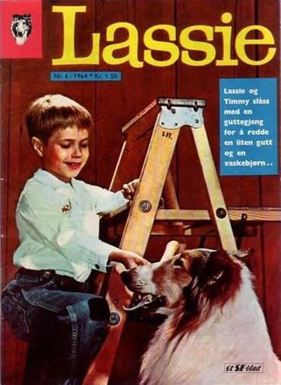 Cover of Issue #196406