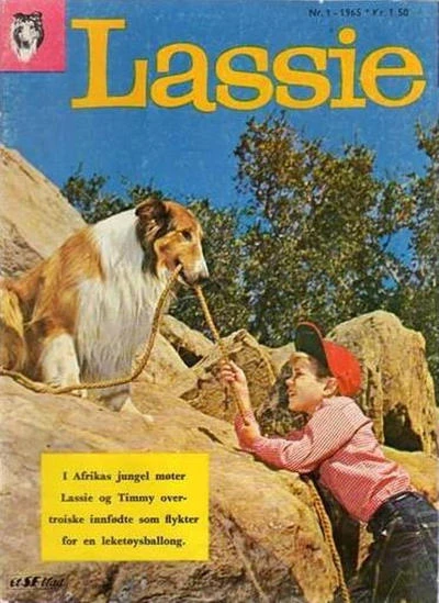 Cover of Issue #196501