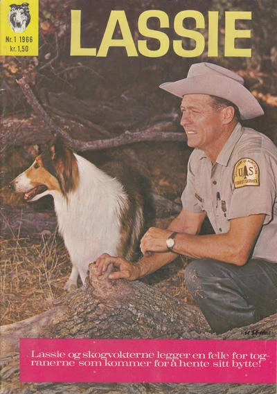 Cover of Issue #196601