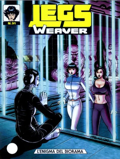 Cover of L'enigma del biorama