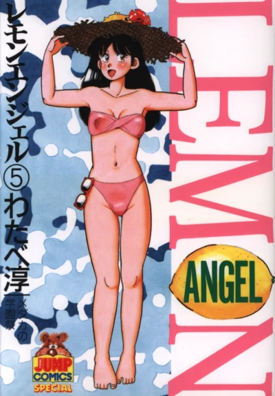 Cover of Vol. 5