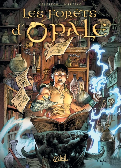 Cover of L'Étincel courroucé