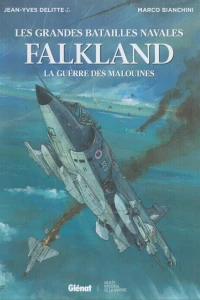 Falkland - La guerre des Malouines