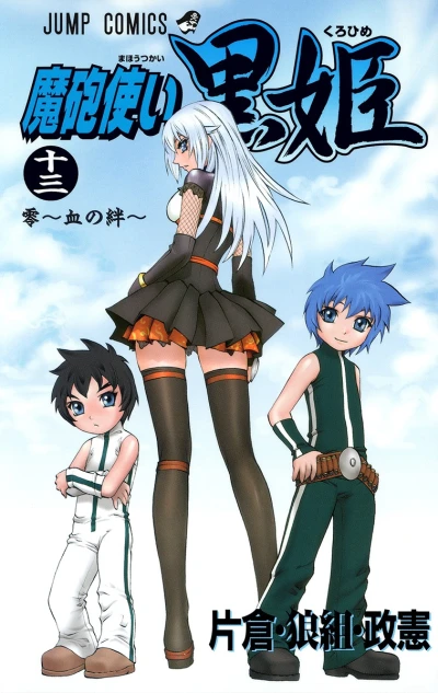 Cover of Vol. 13