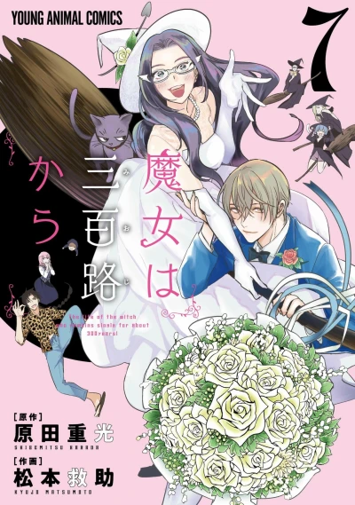 Cover of Vol. 7