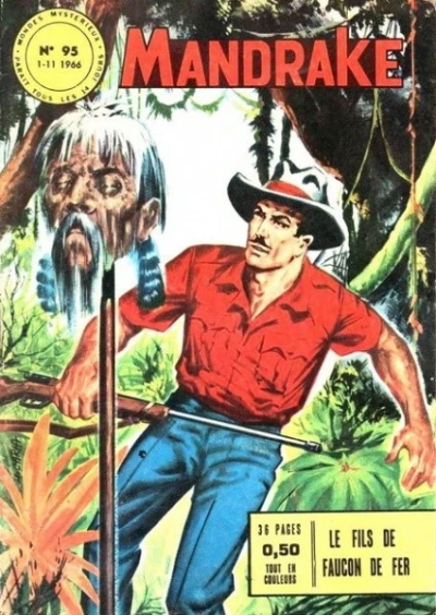 Cover of Le Fils de Faucon de Fer