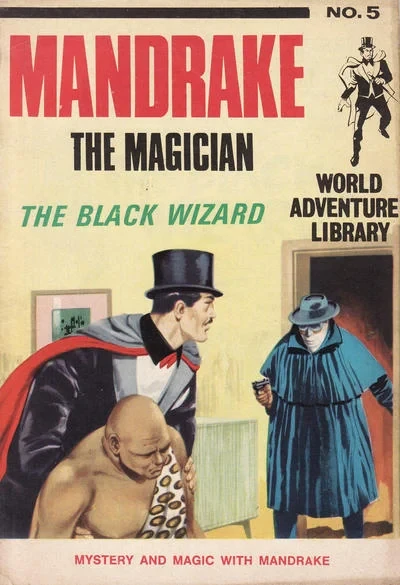 Cover of The Black Wizard