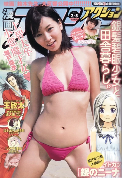 Cover of No. 3, 2013