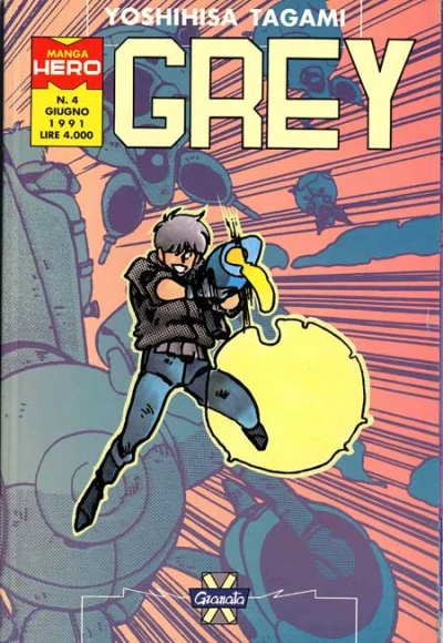Cover of Grey