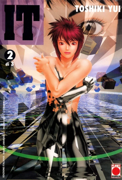 Cover of IT 2