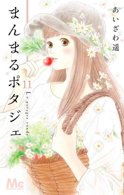 Cover of Vol. 11