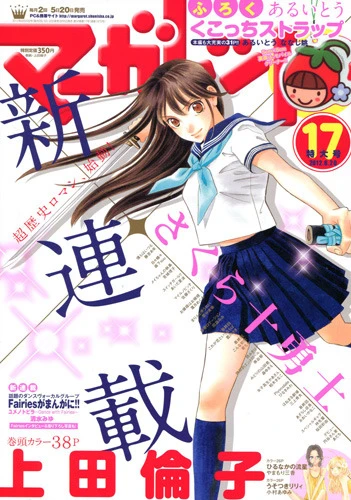 Cover of No. 17, 2012