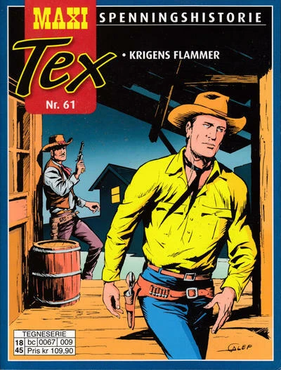 Cover of Krigens flammer