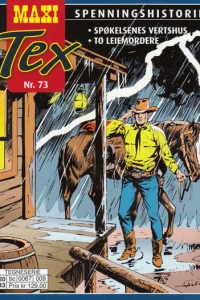 Spøkelsenes vertshus; To leiemordere