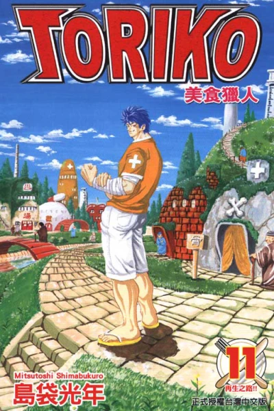 Cover of Vol. 11