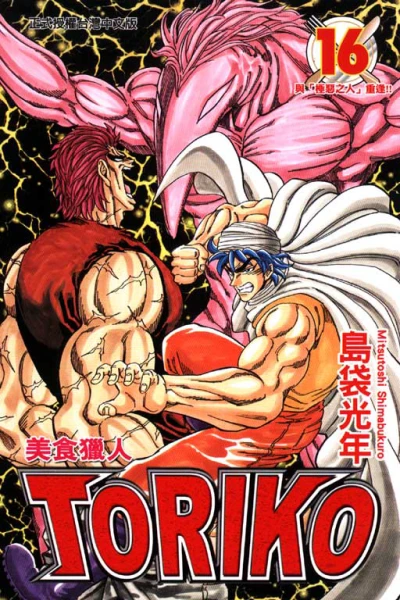 Cover of Vol. 16