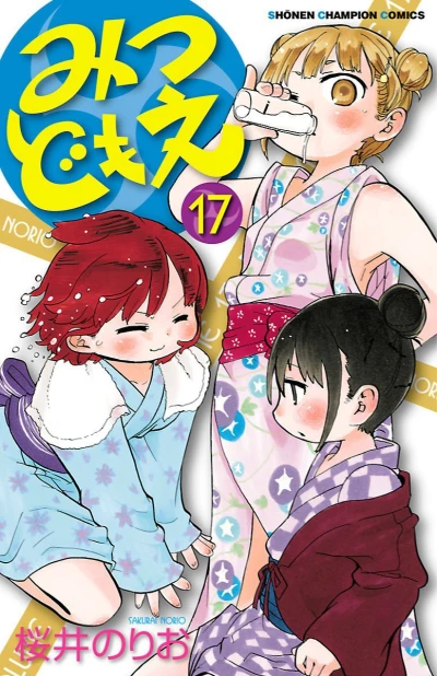 Cover of Volume 17