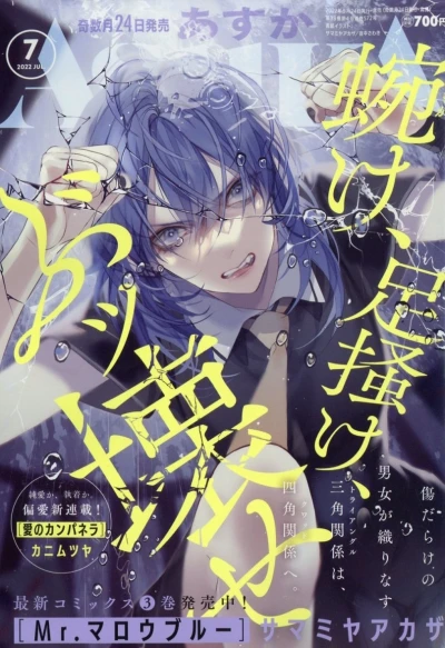 Cover of No. 7, 2022