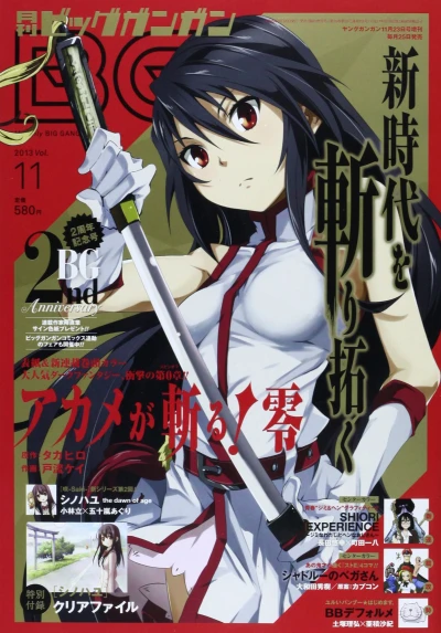 Cover of No. 11, 2013