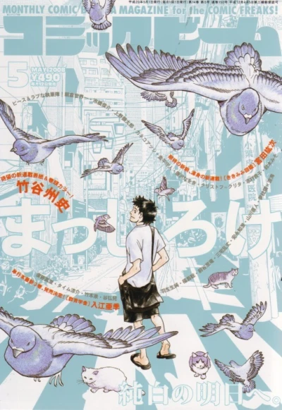 Cover of No. 5, 2008