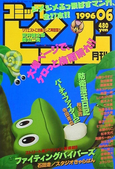 Cover of No. 6, 1996