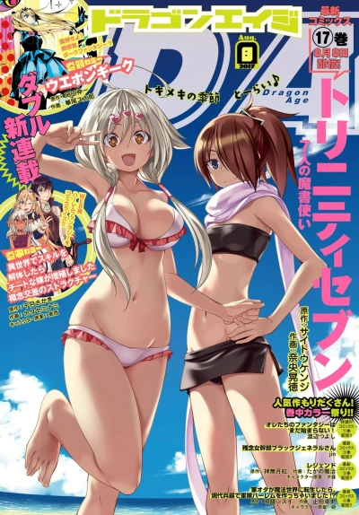 Cover of No. 8, 2017