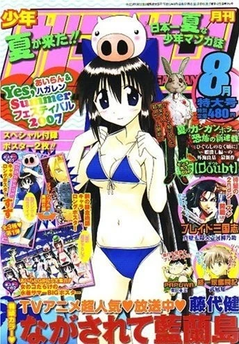 Cover of No. 8, 2007