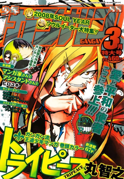 Cover of No. 3, 2008