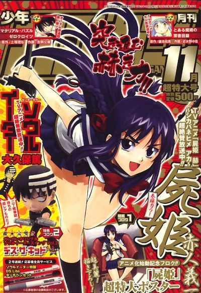 Cover of No. 11, 2008