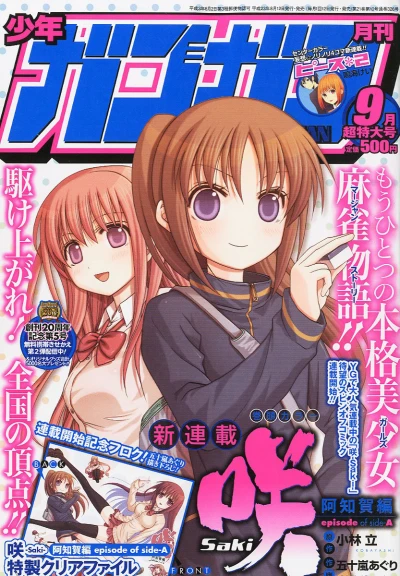 Cover of No. 9, 2011
