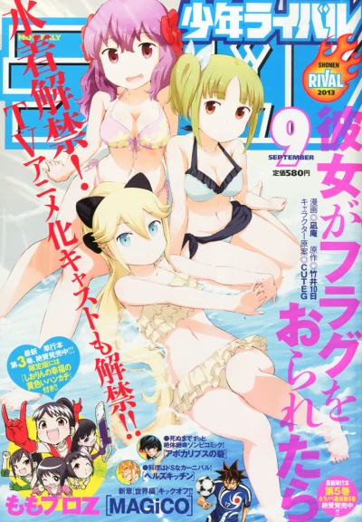 Cover of No. 9, 2013