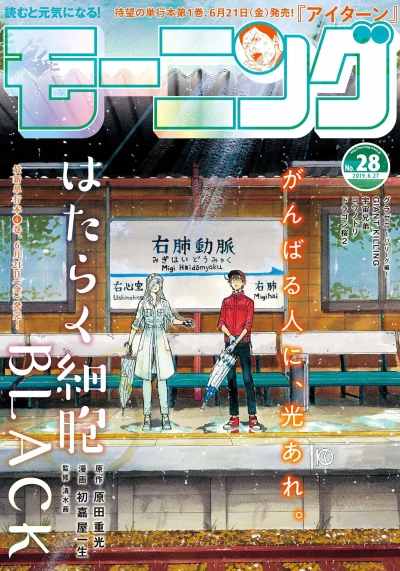 Cover of No. 28, 2019