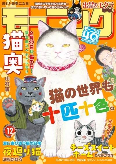 Cover of No. 12, 2022