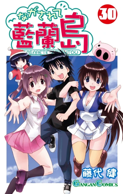 Cover of Volume 30