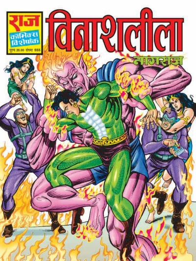 Cover of Vinaashleela