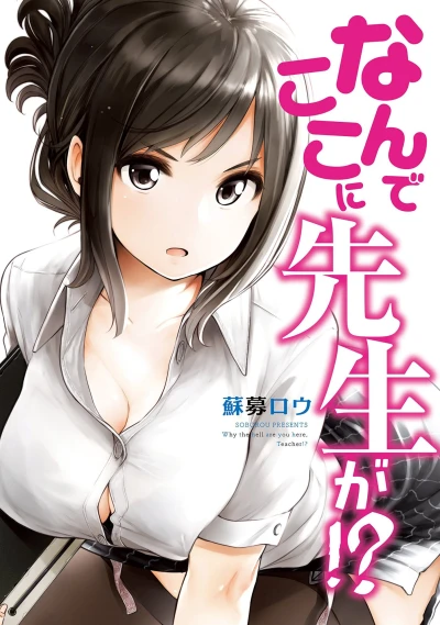 Cover of Vol. 1