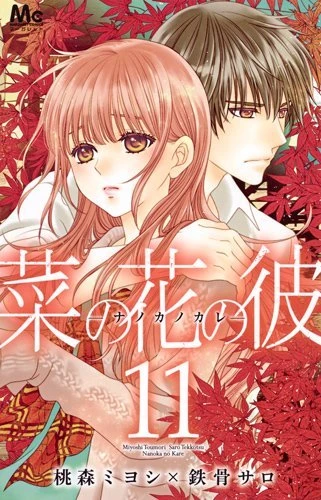 Cover of Vol. 11