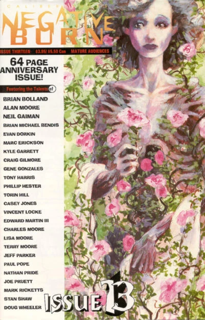 Cover of Strangers in Paradise