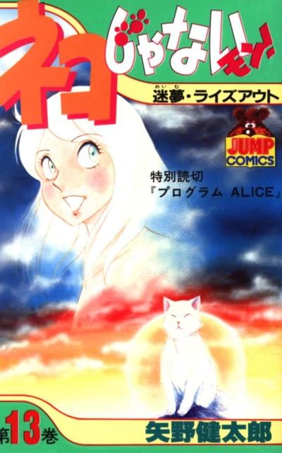 Cover of Vol. 13