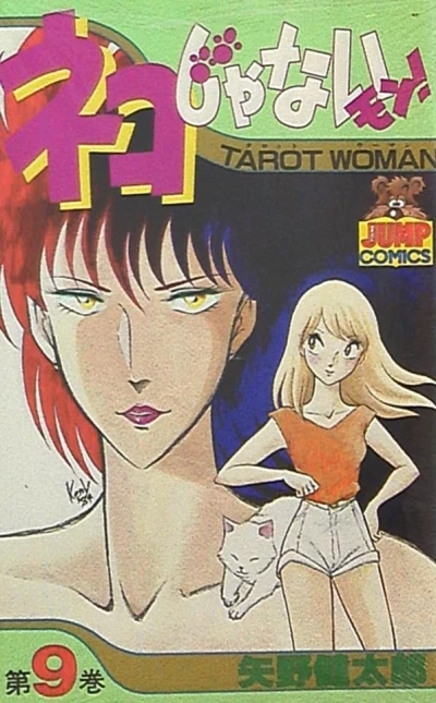 Cover of Vol. 9