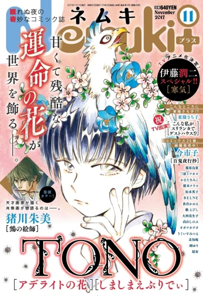 Cover of No. 11, 2017