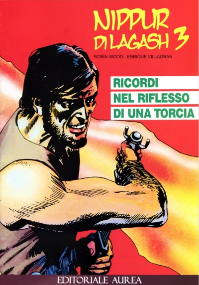 Cover of Ricordi nel riflesso di una torcia