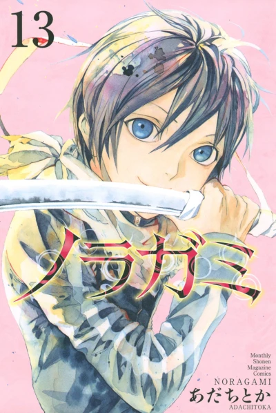 Cover of Vol. 13