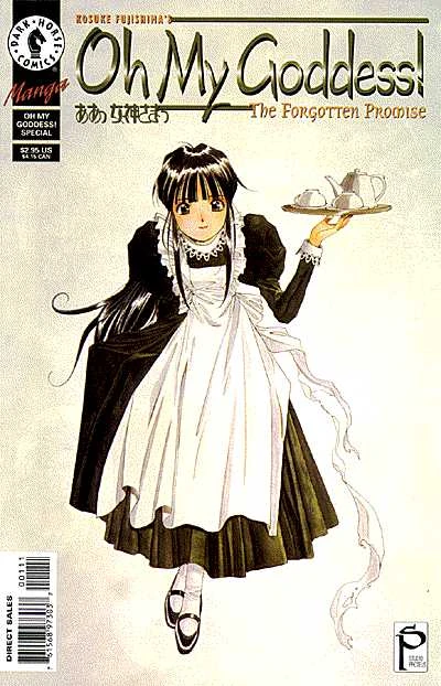 Cover of The Forgotten Promise