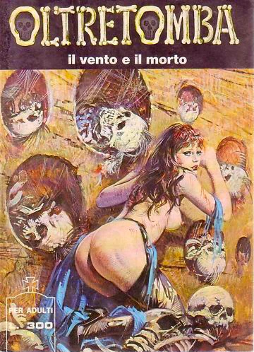 Cover of il vento e il morto