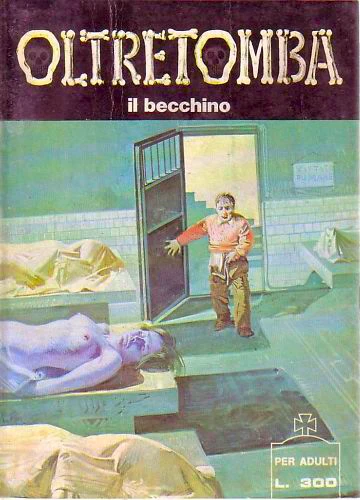 Cover of il becchino