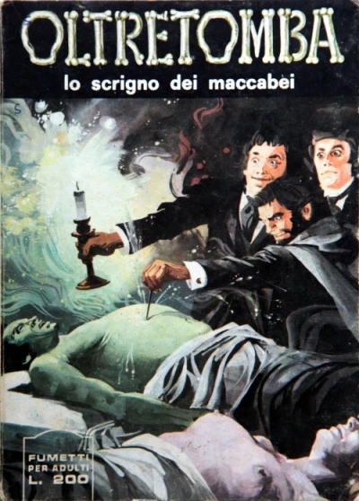 Cover of Lo scrigno dei maccabei