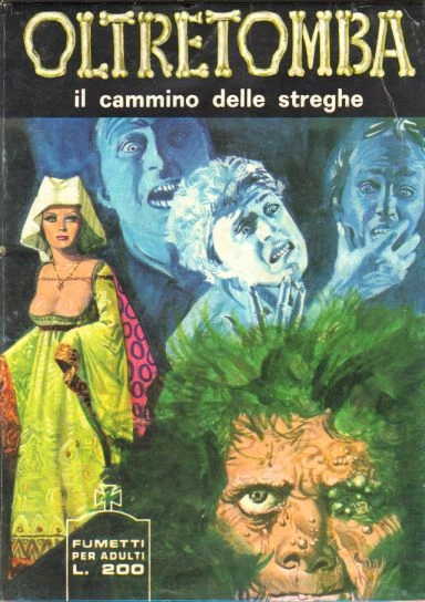 Cover of Il cammino delle streghe