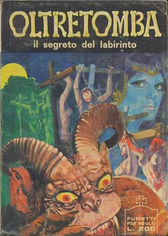Cover of Il segreto del labirinto