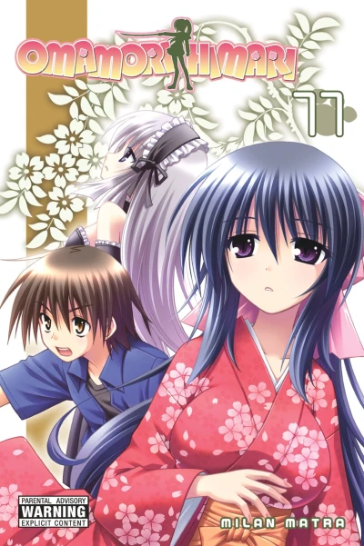 Cover of Vol. 11
